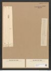 Diatomeae indet. Zeichnungen Sammlung Grunow Nr. 4461 (NHMW-BOT-W0372417)